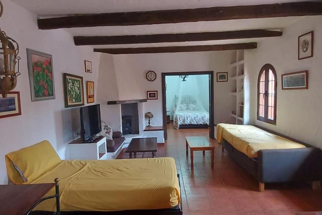 Finca David Galdar Лас-Пальмас-де-Гран-Канарія Екстер'єр фото